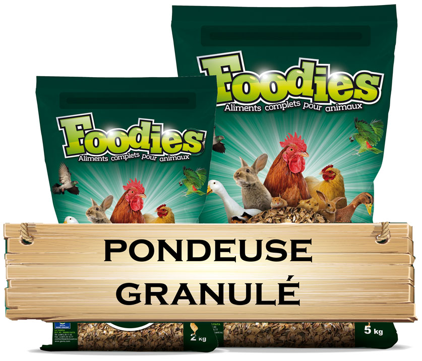 Pondeuse Granulé Foodies